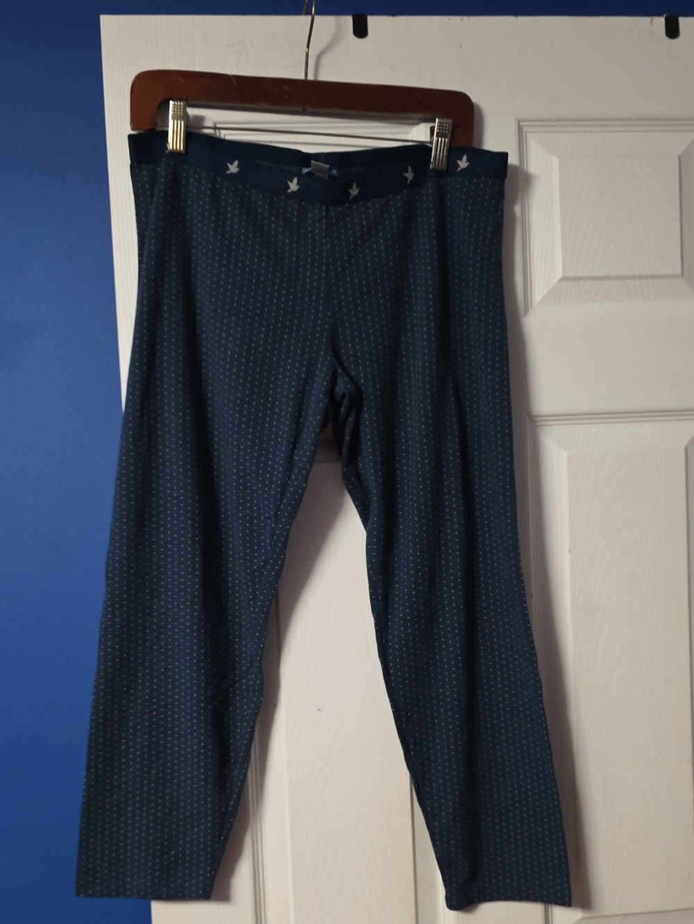 aerie Navy Microdot Pajama Pants